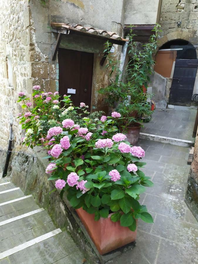Mozzafiato Pitigliano Apartment Luaran gambar
